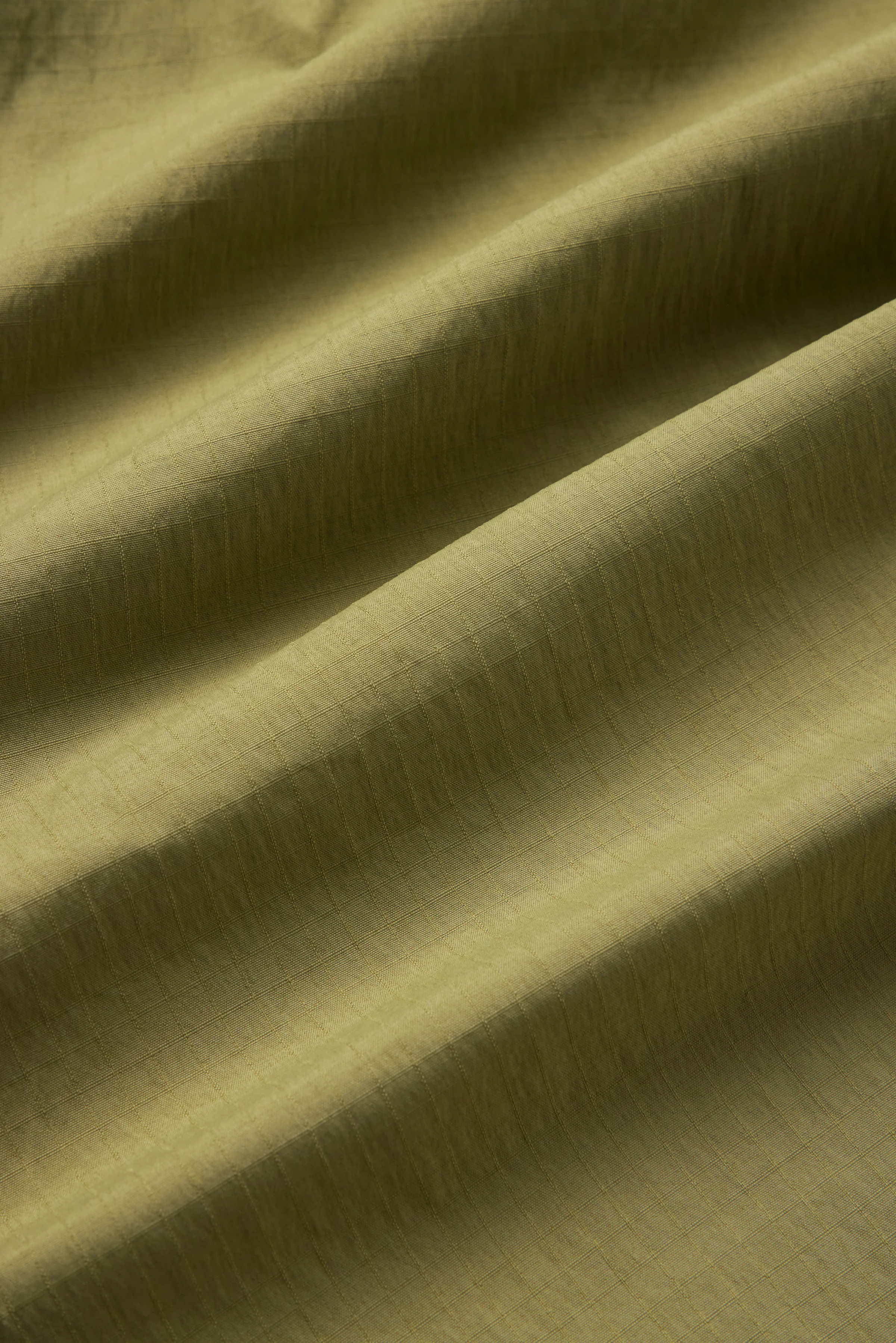 Scarab Shorts (Fern) - Image 3