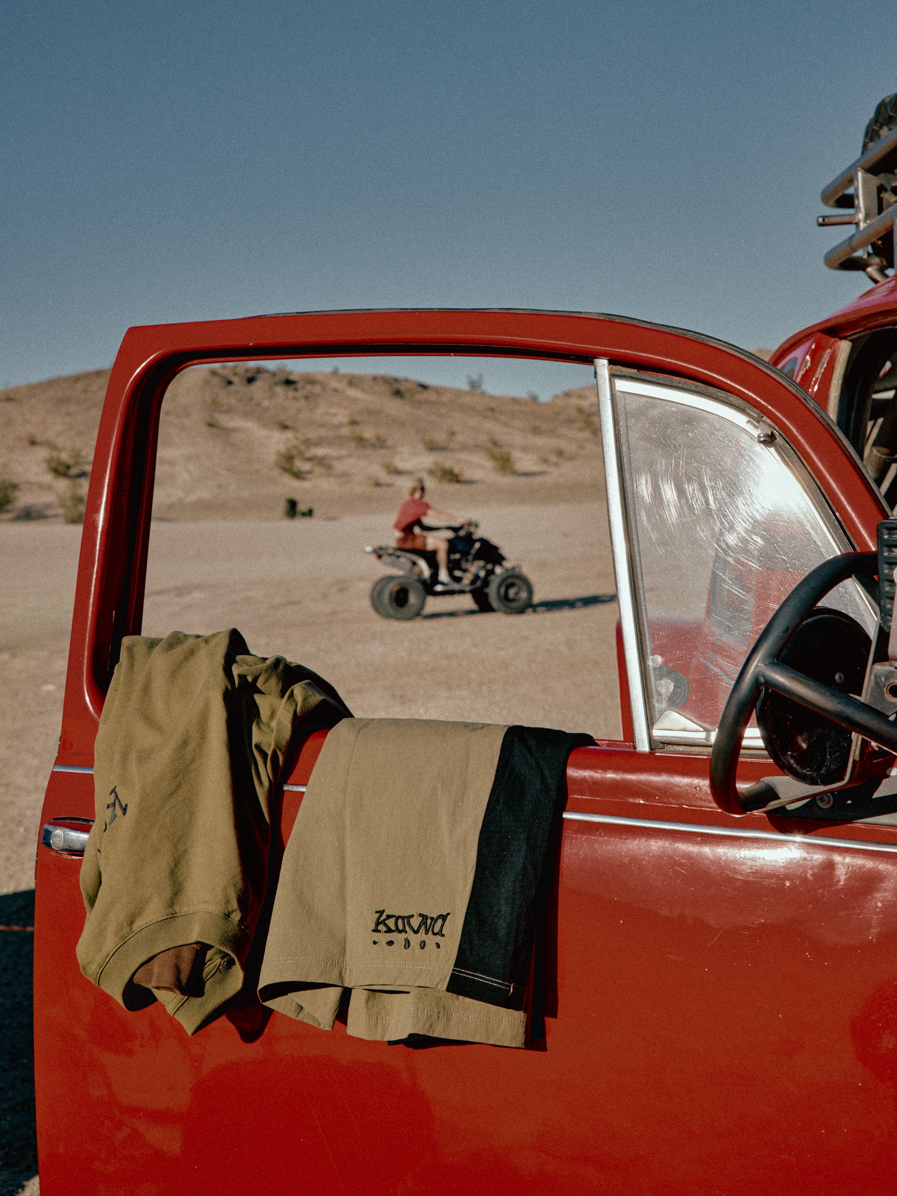 Scarab Shorts (Fern) - Image 5
